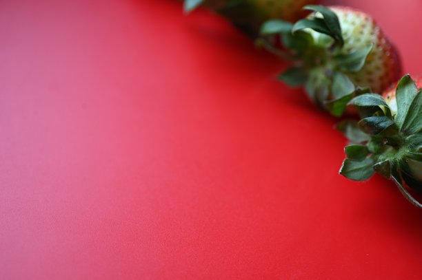 红色背景上的鲜红多汁草莓，草莓作为背景的夏季照片背景图片下载