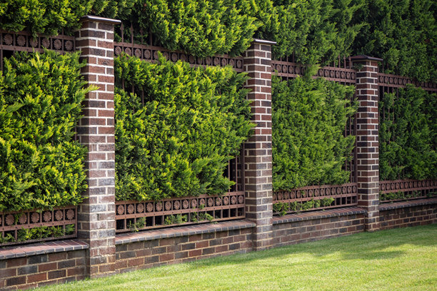 绿色树篱与砖砌基座分隔私人区域和公共区域，景观元素。用于景观设计、隐私系统、花园建筑、地产规划。真实照片。图片下载