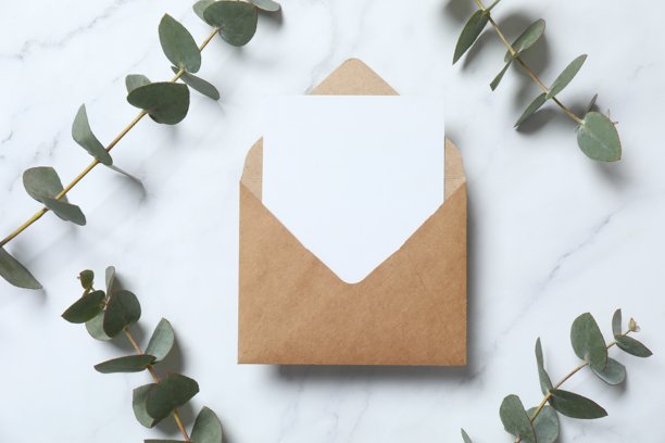 带有抄写空间的空白浅色背景上的纸信封，自然绿色的桉树枝。时尚的鲜活植物布局。生态春季概念。图片下载