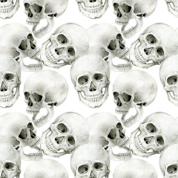 白色背景上的人类头骨插画。万圣节水彩装饰，复古神秘装饰。正面为复古颅骨。解剖学细节骨骼图。图片下载