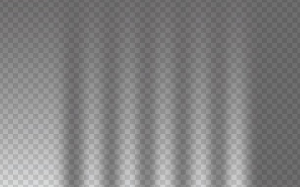 逼真的柔和窗户阴影叠加在透明背景上，非常适合品牌推广、产品展示、社交媒体设计和现代简约模型。微妙的自然阳光工作室照明效果图片下载