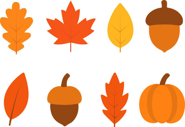 平面的矢量插画，描绘了枫树、橡树和桦树的秋叶，采用温暖的秋季色彩和现代简约风格设计。图片下载
