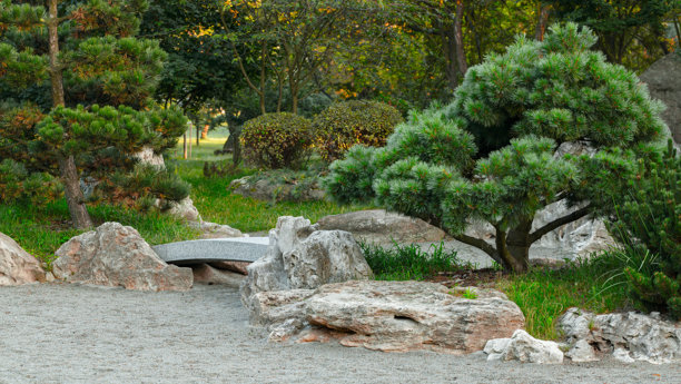城市广场上以常绿树、石头、岩石和装饰品为特色的园林景观设计风光，户外环境空间图片下载