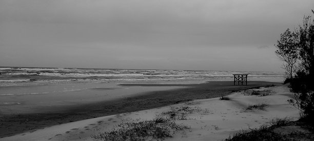 海滩的黑白照片图片下载