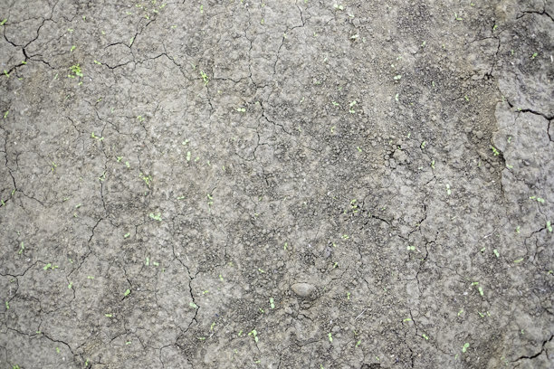 自然元素图片图片下载