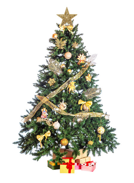 装饰好的圣诞树和礼物，在白色背景上孤立。室内装饰圣诞树，树下有礼品盒，供新年庆祝。图片下载