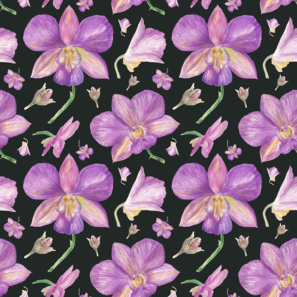 一幅水彩插画，描绘了一朵紫色的兰花和绿叶，采用写实植物风格手绘而成。非常适合用于花卉印刷品、包装、纺织品、卡片和自然主题设计项目。图片下载