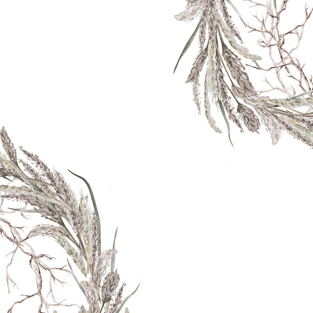 草药和树枝组成的角落元素的方形框架。干花的孤立水彩插图，适用于生态项目、生态公园门票、包装设计、室内装饰和海报印刷。图片下载