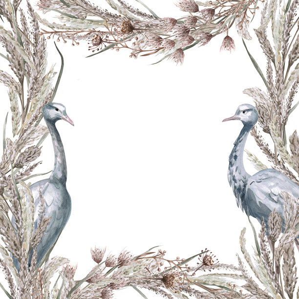 一幅由香草、花卉和灰色非洲雌鹤组成的方形构图。此水彩插画适用于环保项目、生态公园门票、包装设计、室内装饰和海报印刷。图片下载