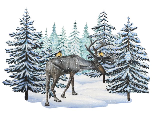 手绘冬季场景，描绘了驯鹿在雪林中，背景有云杉树。水彩插画。图片下载