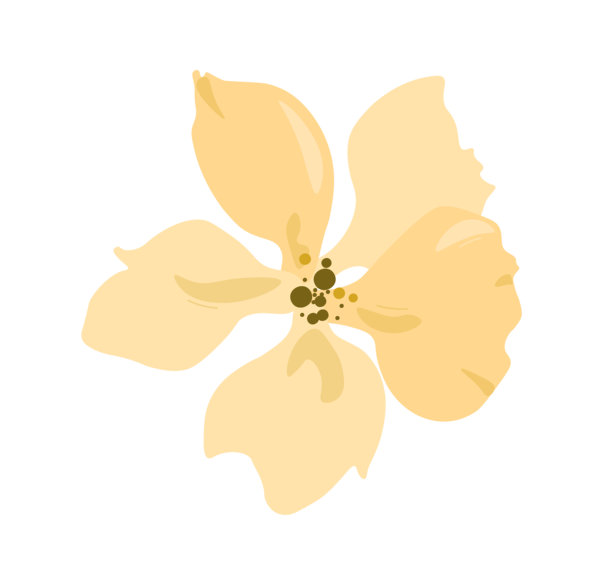 唯美水彩花卉。米色花朵和盛开的植物。春季或夏季。柔和的色彩。社交媒体贴纸。扁平矢量插画图片下载