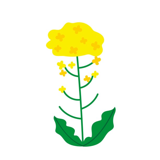 油菜花卡通插画图片下载
