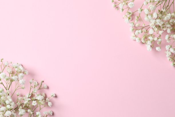 粉色背景上铺满满天星花朵的俯视照片，留有空白空间图片下载