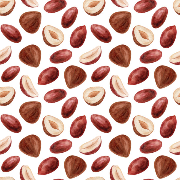 水彩插画，描绘了花生和榛子，在白色背景上的无缝图案。图片下载