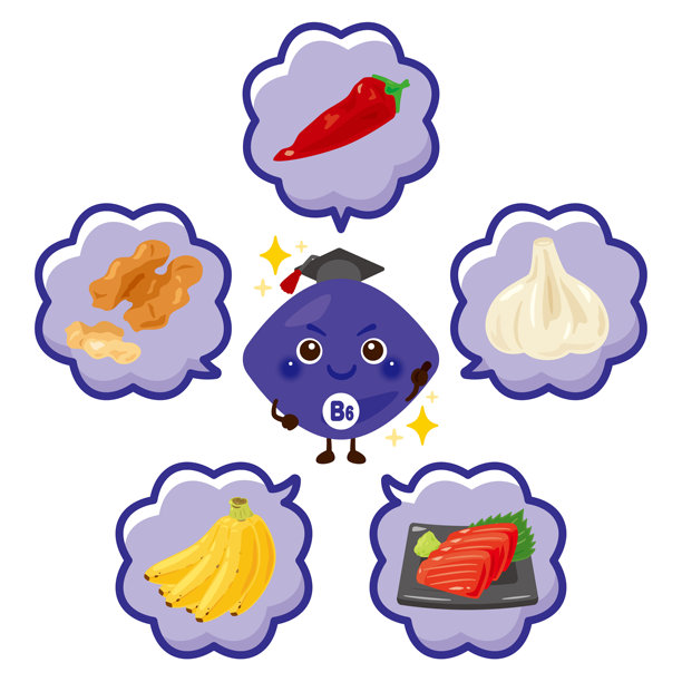 富含维生素B6的食物与维生素B6卡通人物插画集图片下载