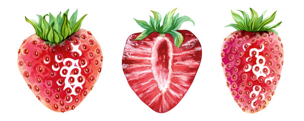 一套多汁、成熟的草莓。完整的红色浆果，顶部有绿叶。纯素，健康，富含维生素。减肥甜点。手绘水彩插画。单个孤立对象。设计元素图片下载