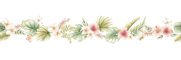 龟背竹、棕榈叶、芙蓉花、鸡蛋花无缝边框水彩手绘夏季插画图片下载