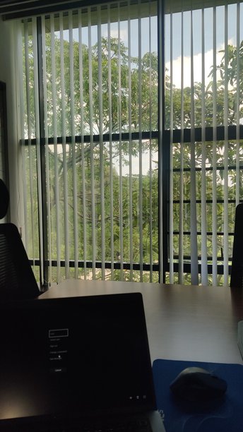 办公室空间 - 高清图库照片图片下载