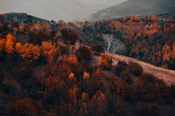 秋季城市桥梁自然风光图片图片下载