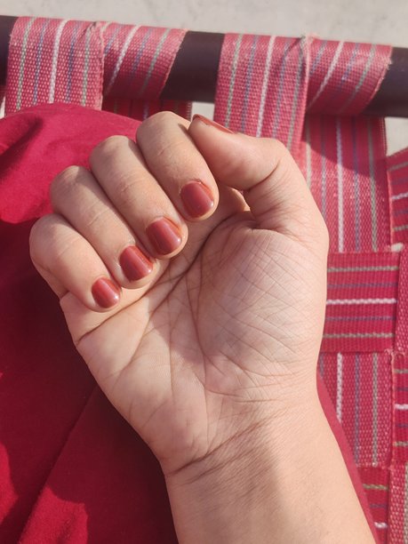 精心修饰的单手，背景中性 - 高清图库照片图片下载