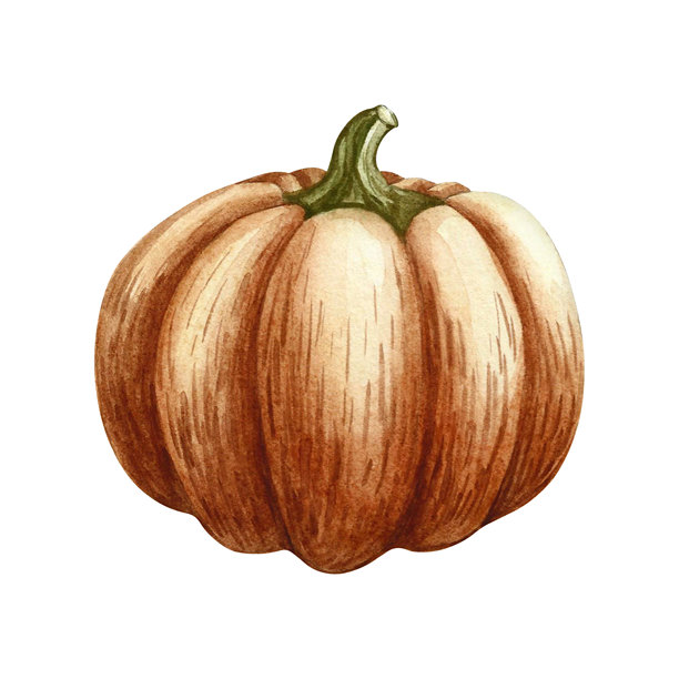 南瓜是橙色的。手工水彩插画。秋季水果的彩色图像。孤立的。非常适合明信片、横幅和传单、海报、标签和印刷品。图片下载