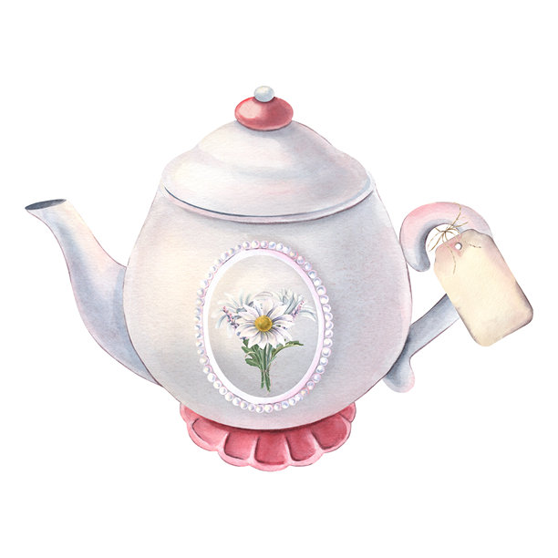 带有珍珠边框的白色陶瓷茶壶，插着菊花花束，附有空白标签。手绘水彩插画，孤立在白色背景上，适用于厨房印刷品、菜单、茶叶、餐具品牌设计、贺卡、纺织品等。图片下载