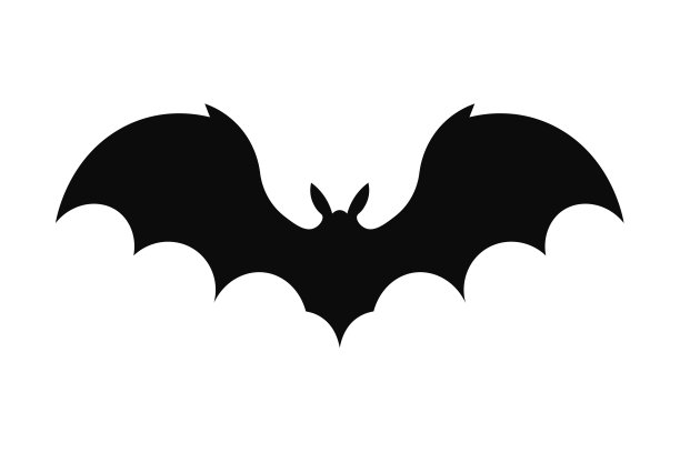 蝙蝠剪影的插画，孤立在白色背景上图片下载