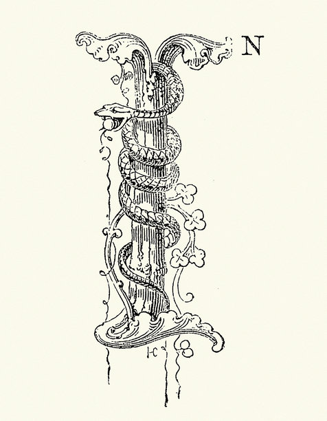 大写字母 I，蛇衔着苹果，插画，19世纪，1860年代图片下载