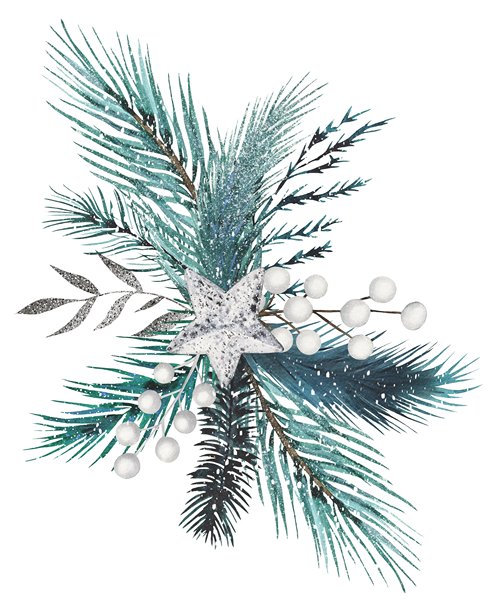 手绘冬季花束，包含装饰有银色星星的冷杉枝和白色浆果。水彩插画。图片下载