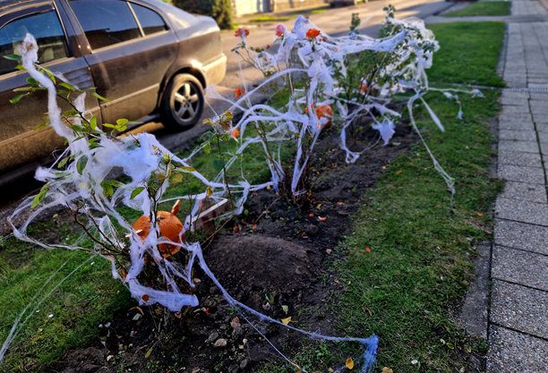 房子前面有一个恐怖的花坛，里面有坟墓和十字架，上面覆盖着喷漆的蜘蛛网。在旁边的灌木丛和花园里，人行道上，砖墙上营造出逼真的效果，适合儿童。图片下载