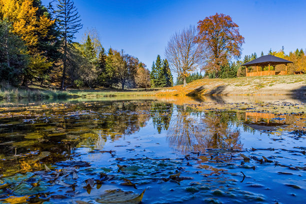 风景，森林，喀尔巴阡山，欧洲自然照片，东欧图片下载