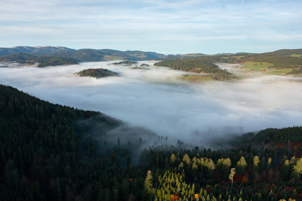 航拍无人机照片，展现了被秋季森林覆盖的山隘和飘渺的雾层图片下载