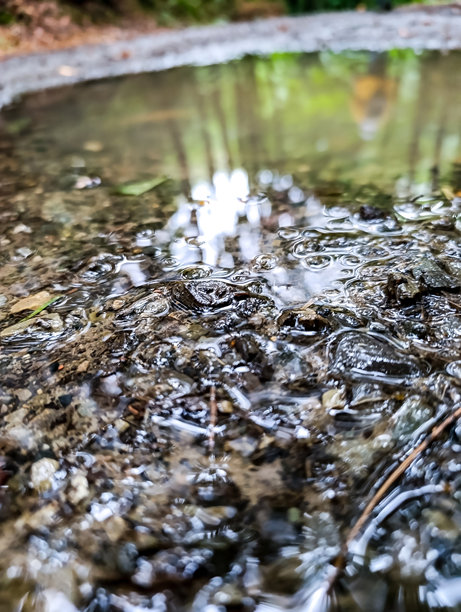 宏观照片，动物，自然 - 欧洲，东欧图片下载