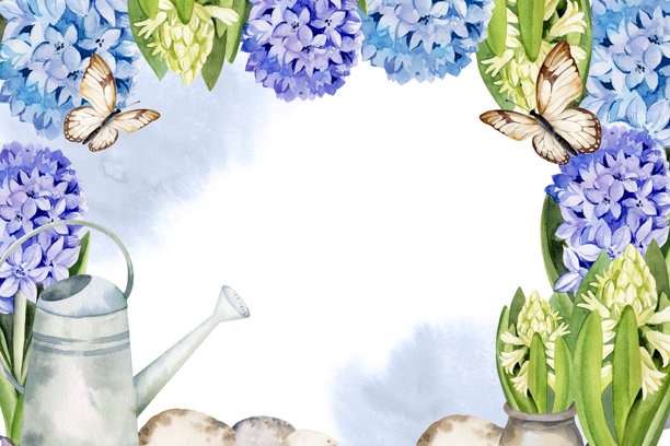 蓝白色清新风信子，花园洒水壶，飞舞的蝴蝶，手绘水彩春花边框，复活节报春花束插画，用于装饰的横幅模板图片下载