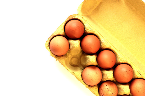 白色背景上，一个打开的纸盒里装着棕色鸡蛋。非常适合复活节主题、食品营销、有机产品品牌推广、超市广告和新鲜食材视觉呈现。图片下载