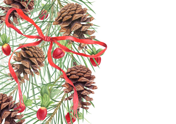 带有绿色松枝、松果和红色浆果的节日模板。针叶植物，圣约翰草药水彩插画，孤立背景。留有空白文本区域。用于圣诞贺卡装饰。图片下载