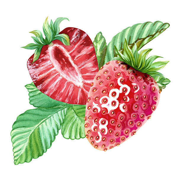 多汁、成熟草莓的构图。完整的和半个的红色浆果，顶部带有绿叶。纯素、健康、富含维生素。减肥甜点。手绘水彩插画。单个隔离对象图片下载