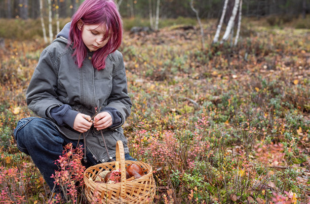 秋季森林里采摘野生蘑菇的女孩图片下载