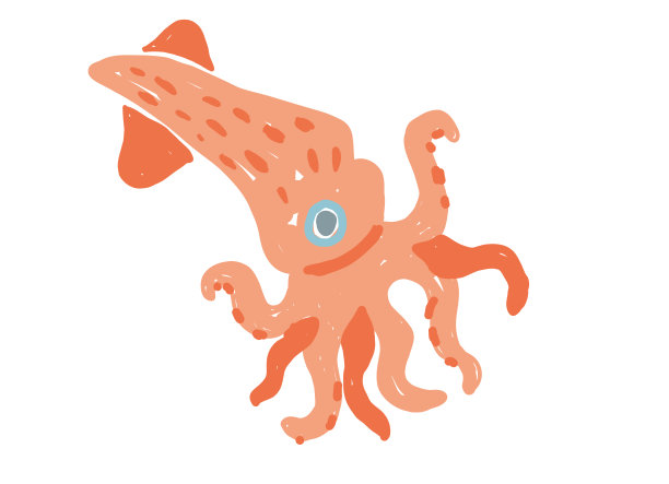 鱿鱼矢量插画，可爱的海洋动物，扁平的、幼稚的手绘卡通风格图片下载