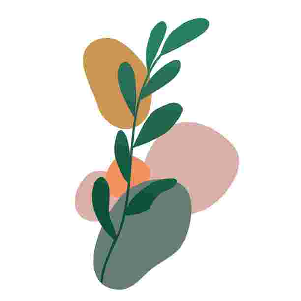 优雅的植物设计元素插画图片下载