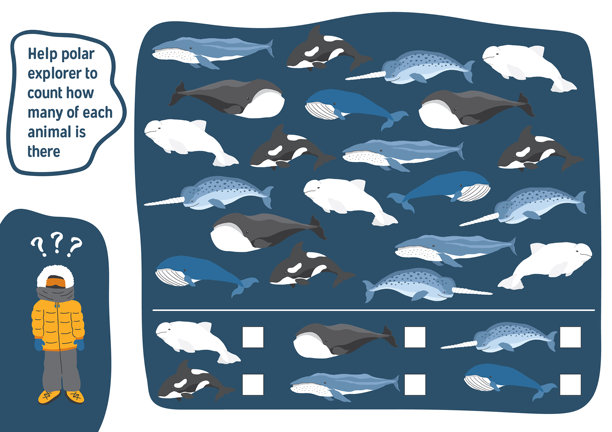 儿童数学游戏，有可爱的卡通北极海洋动物，适合儿童的逻辑活动，数一数动物的数量。矢量插画。图片下载