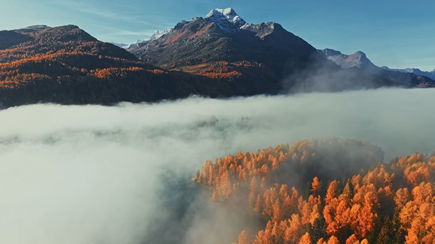 一张航拍照片，背景是连绵的山脉，前景是橙色的树木和云雾。图片下载