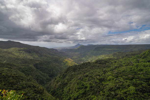 郁郁葱葱的山地景观图片下载