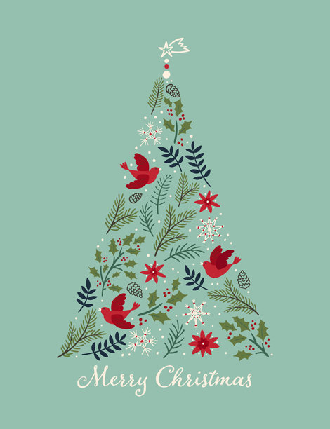 可爱的圣诞绿植和鸟类手绘插画，非常适合用于印刷品、纺织品、横幅和壁纸 - 矢量图图片下载