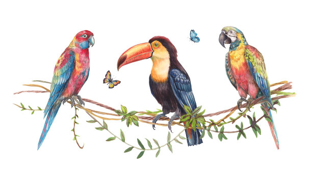 一只色彩斑斓的鹦鹉，周围环绕着热带叶子和鲜艳的花朵的水彩插画。手绘的异国情调构图，非常适合夏季设计、印刷品、包装和植物项目。图片下载