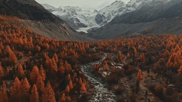 雪山下的橙子树山谷。这张风景照是通过网站图片管理工具添加的。图片下载