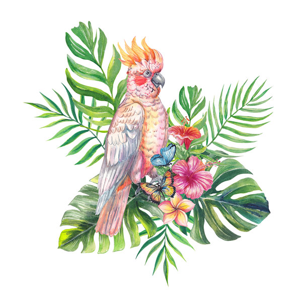 一幅色彩斑斓的鹦鹉水彩插画，周围环绕着热带叶子和鲜艳的花朵。手绘的异国情调构图，非常适合夏季设计、印刷品、包装和植物项目。图片下载