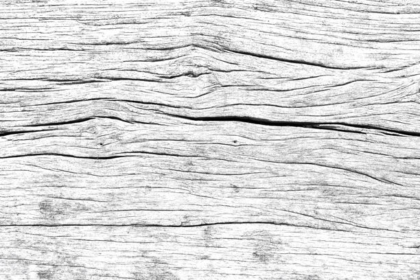 老木材表面的高对比度黑白纹理，带有天然裂缝和纹理，非常适合背景、乡村设计或复古艺术项目。Grunge纹理背景和单色。图片下载