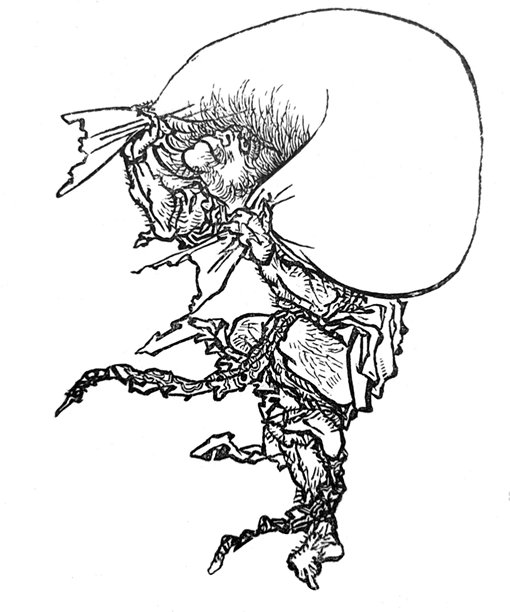 复古插画 - 日本的风神 - 一名男子试图用肩膀扛起一大捆物品，但被风吹拂图片下载