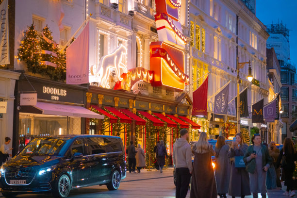 圣诞装饰，节日灯光，卡地亚，宝诗龙店铺，新邦德街奢侈品牌，梅费尔，伦敦市中心，英国图片下载
